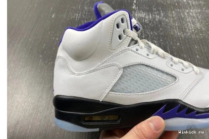 Concord Retro Dark Jordan 5 1102